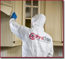 PuroClean South Florida; Mold, Water and Fire Services